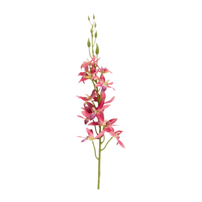 83cm Single Stem 12-Head Artificial Cymbidium
