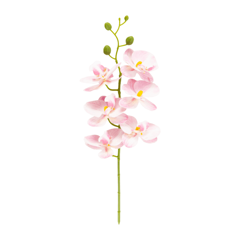 Artificial Butterfly Orchid With 6 Flowers