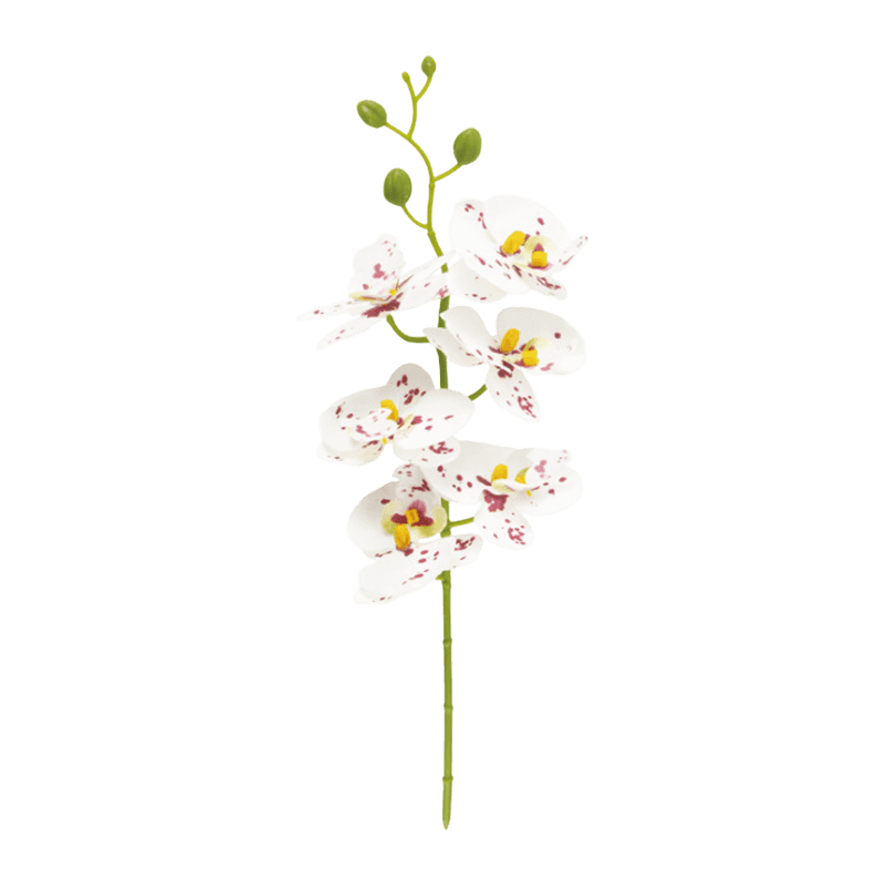 Artificial Butterfly Orchid With 6 Flowers