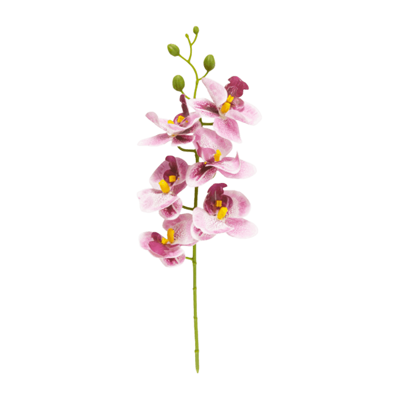 Artificial Butterfly Orchid With 6 Flowers
