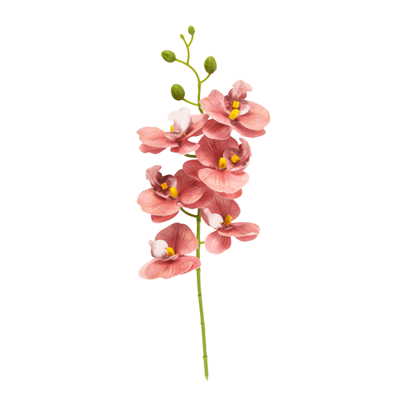 Artificial Butterfly Orchid With 6 Flowers