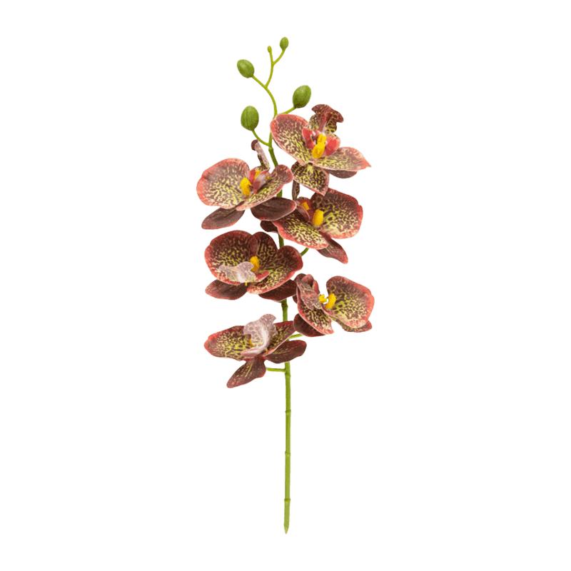 Artificial Butterfly Orchid With 6 Flowers