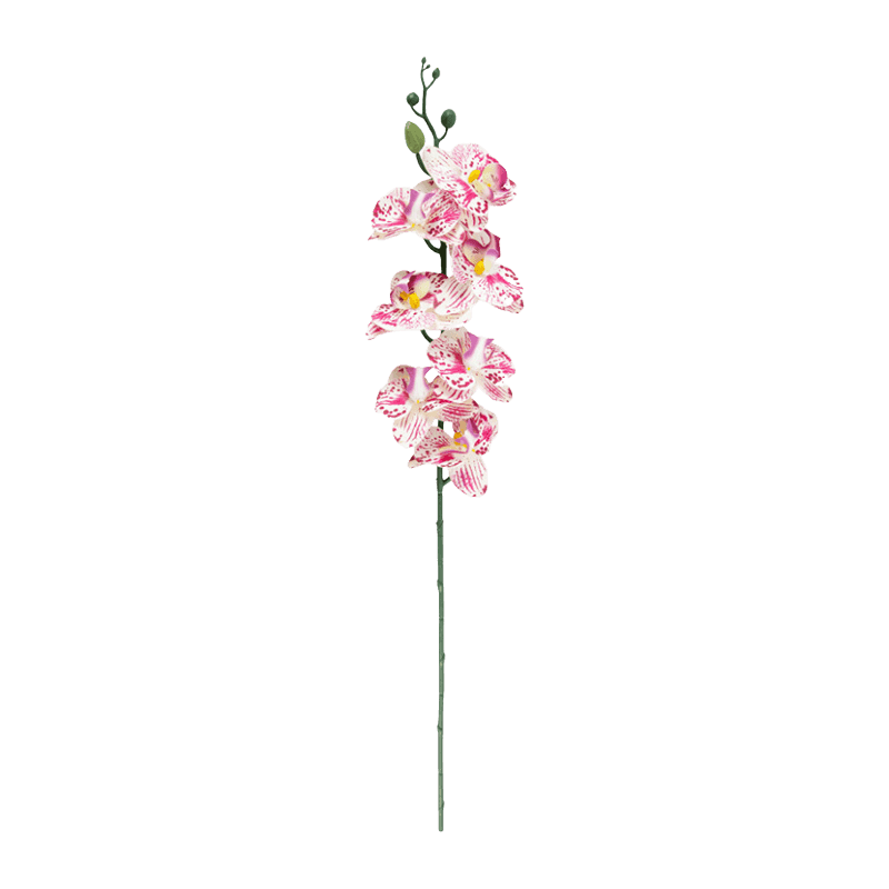 Artificial Orchid With 7 Flowers