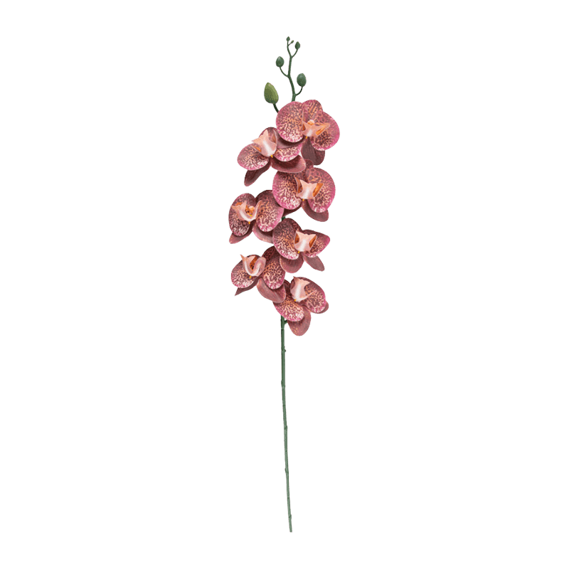 Artificial Orchid With 7 Flowers
