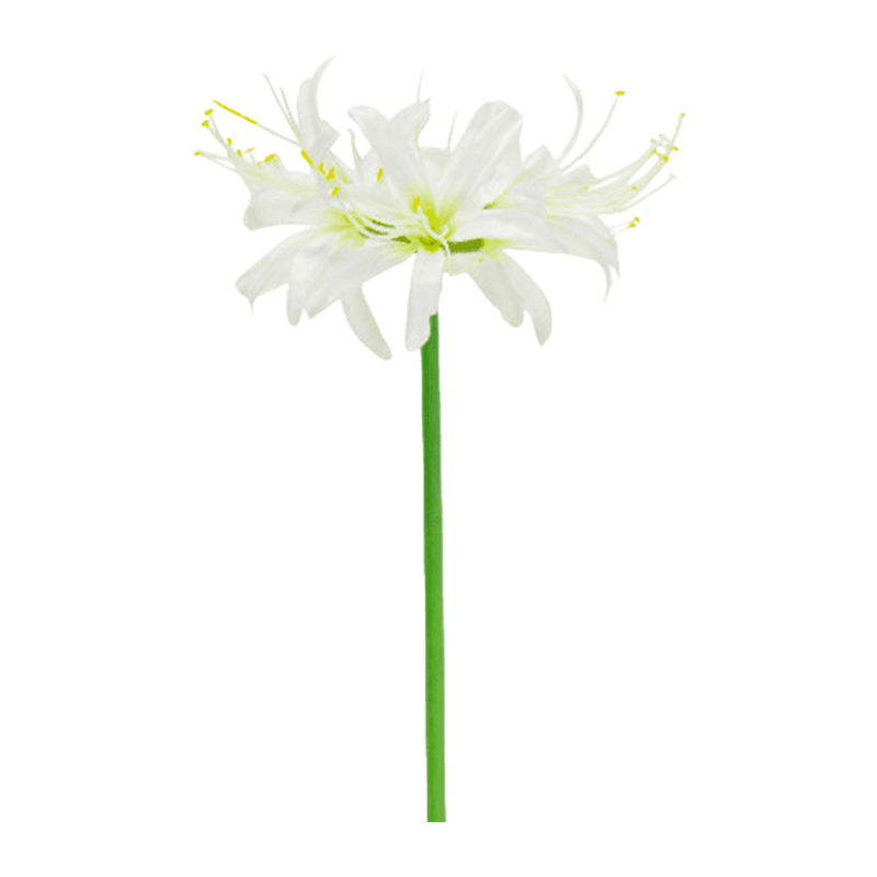62cm Single Stem Artificial White Spider Lily