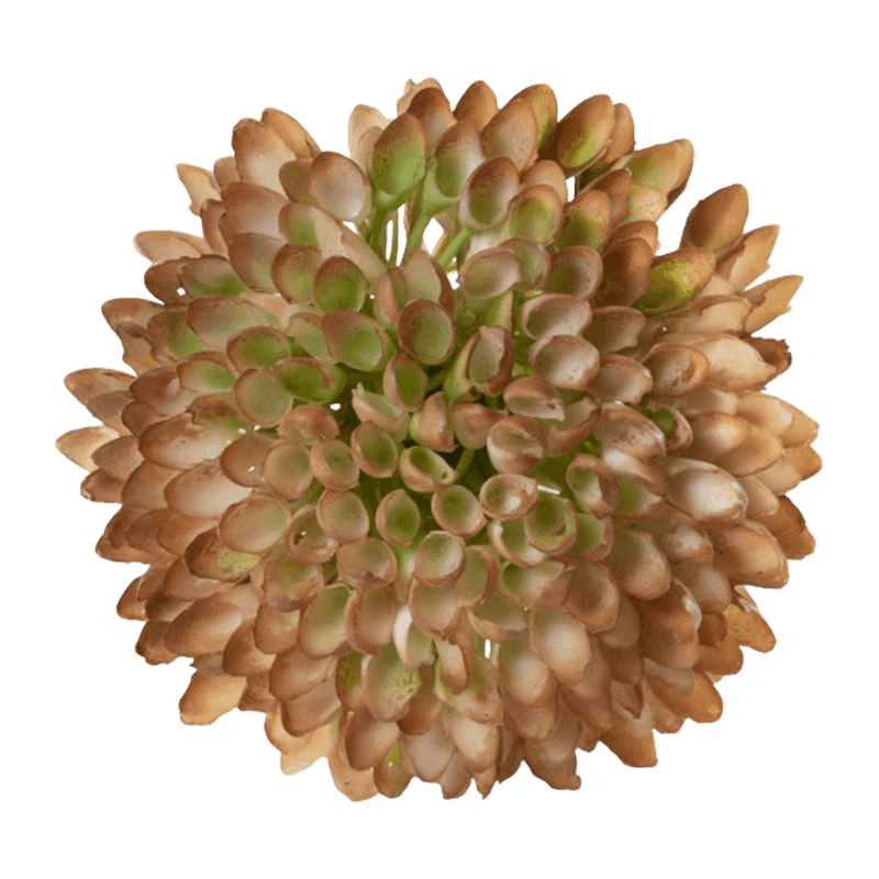 Artificial Single Ball Flower Stem