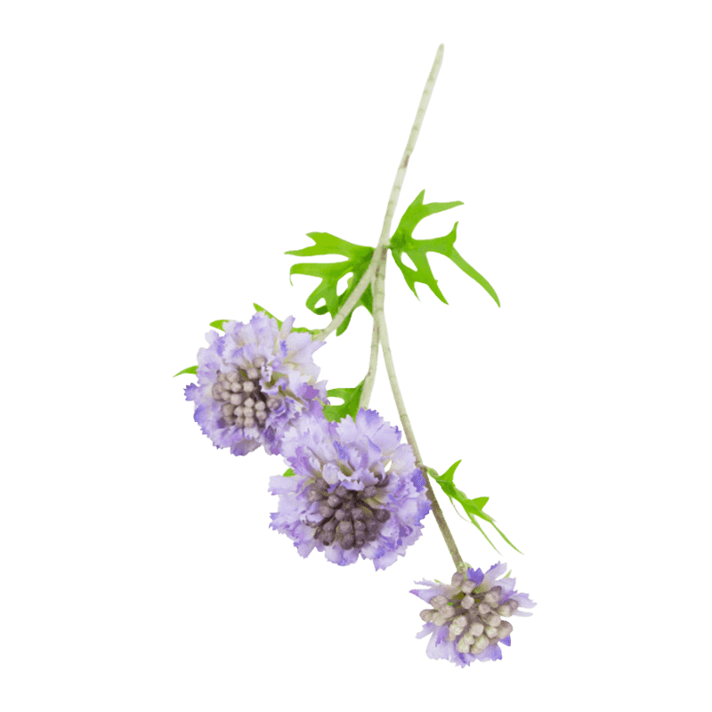 Artificial Scabiosa Long Spray With 3 Flower Heads