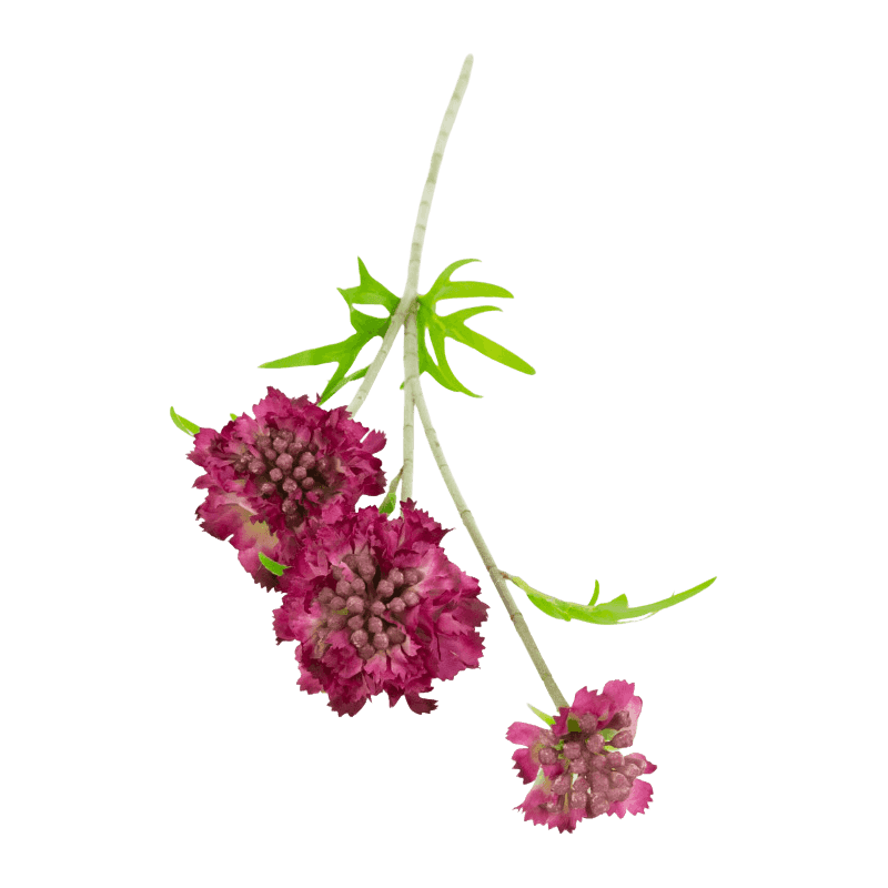 Artificial Scabiosa Long Spray With 3 Flower Heads