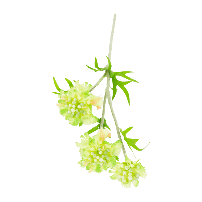 Artificial Scabiosa Long Spray With 3 Flower Heads