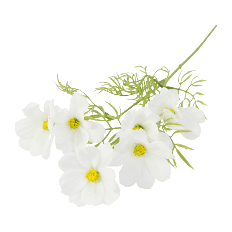 Daisy Flower With 6 Flowers