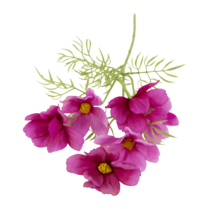 Daisy Flower With 6 Flowers