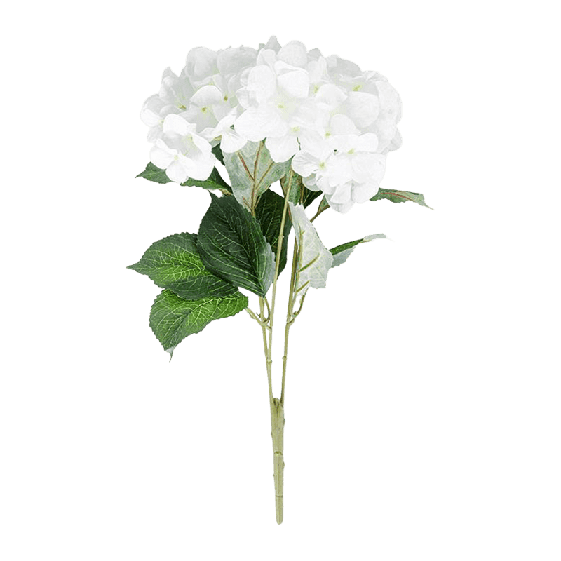 Hydrangea Bunsh Rose