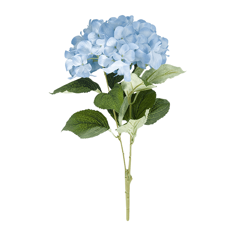 Hydrangea Bunsh Rose