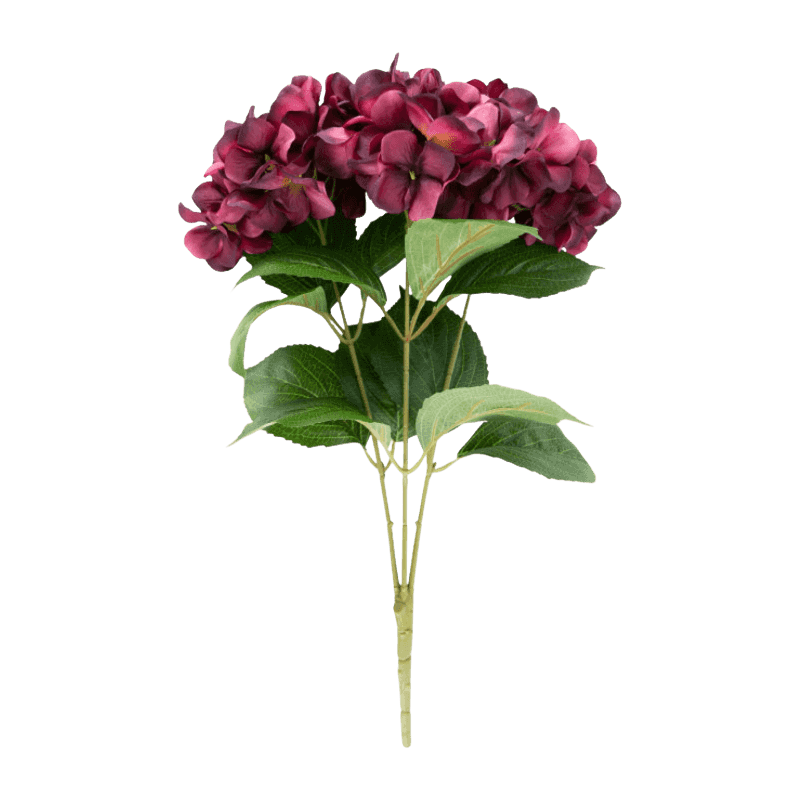 Hydrangea Bunsh Rose