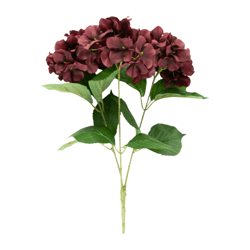Hydrangea Bunsh Rose