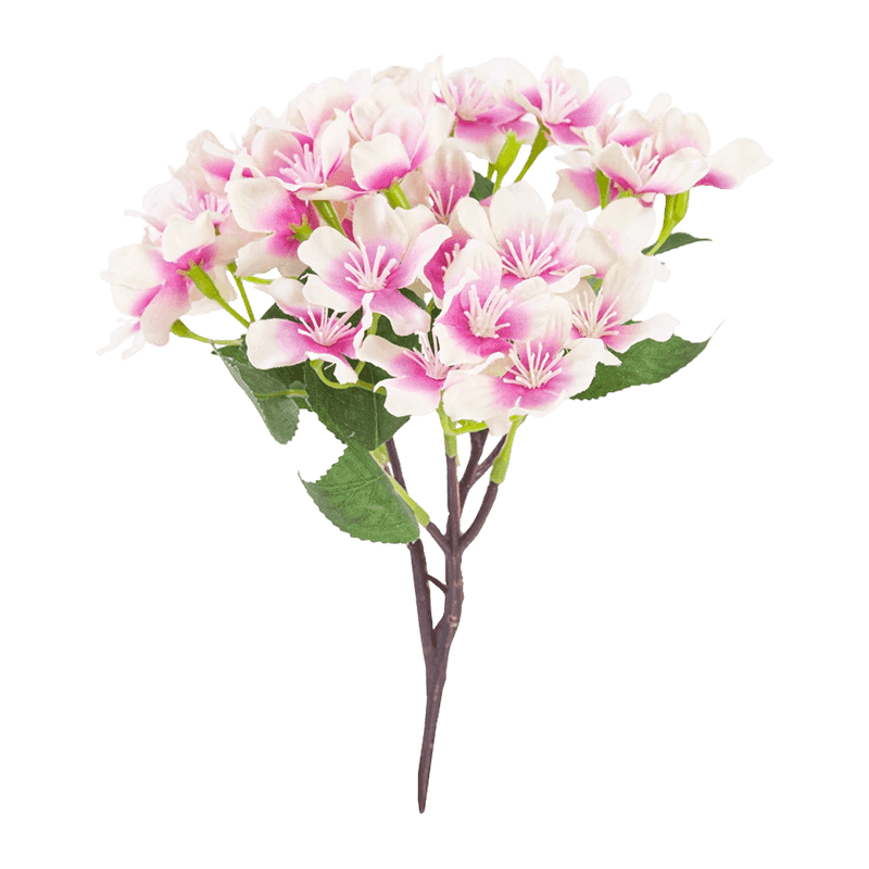 36 Flowers Cherry Blossom