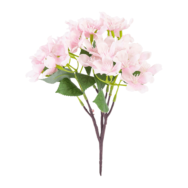 36 Flowers Cherry Blossom