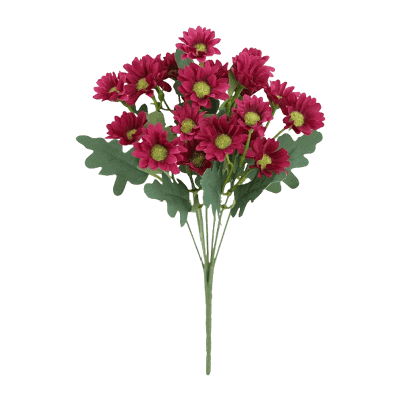 21 Daisy Flowers Bush