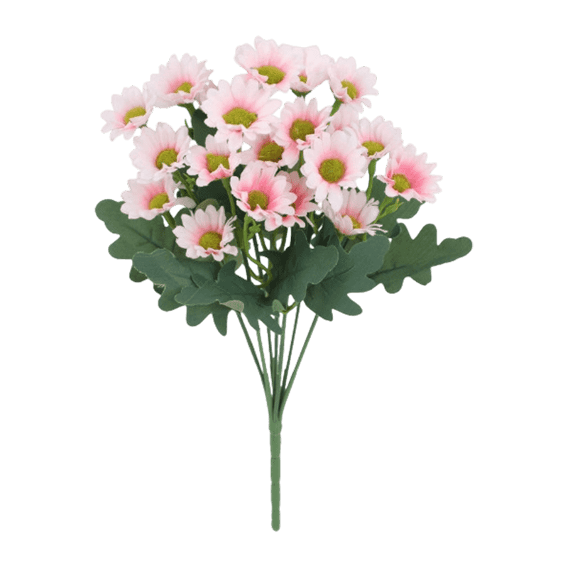 21 Daisy Flowers Bush
