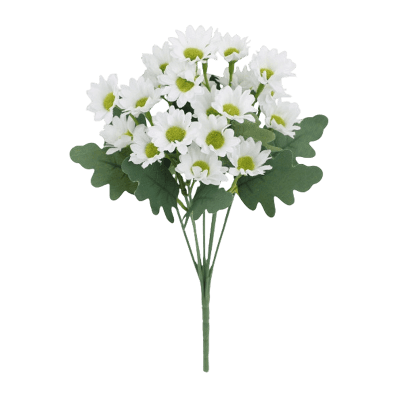 21 Daisy Flowers Bush