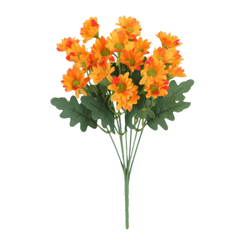 21 Daisy Flowers Bush