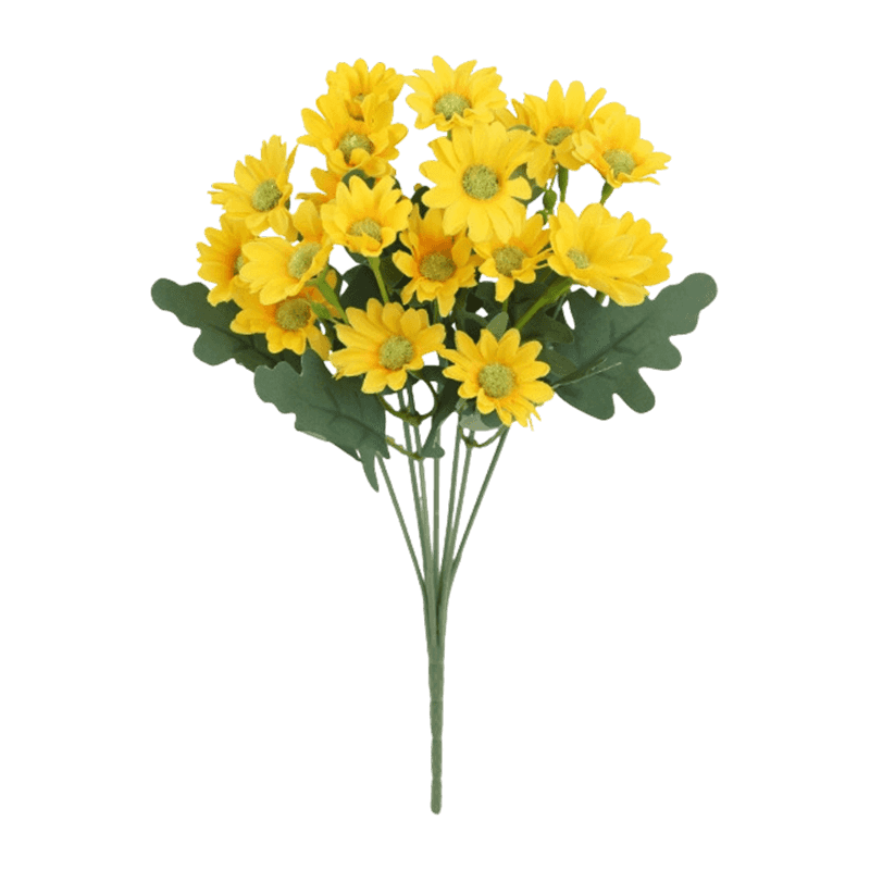 21 Daisy Flowers Bush