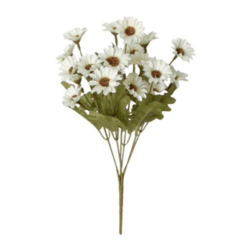 21 Daisy Flowers Bush
