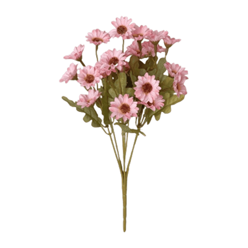 21 Daisy Flowers Bush