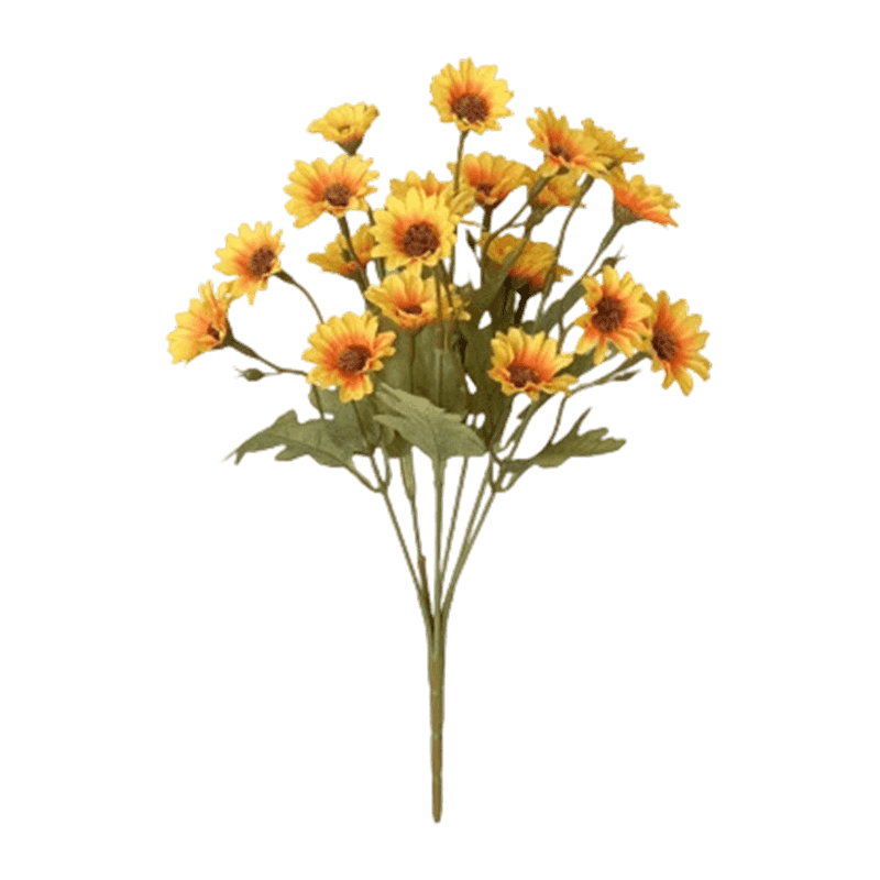 21 Daisy Flowers Bush