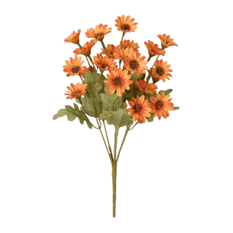 21 Daisy Flowers Bush