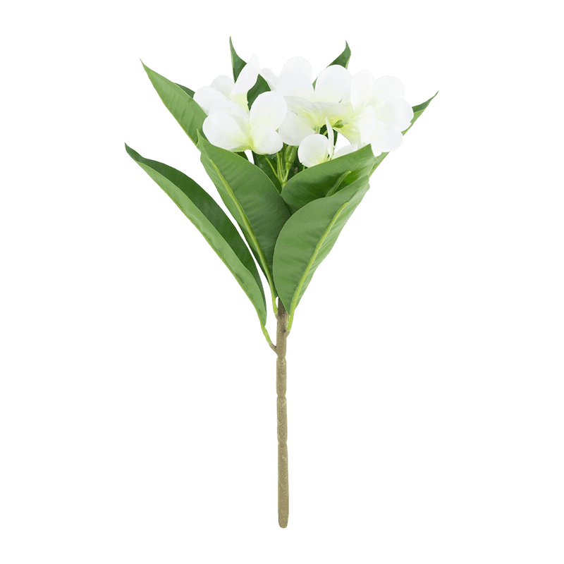 Artificial Plant