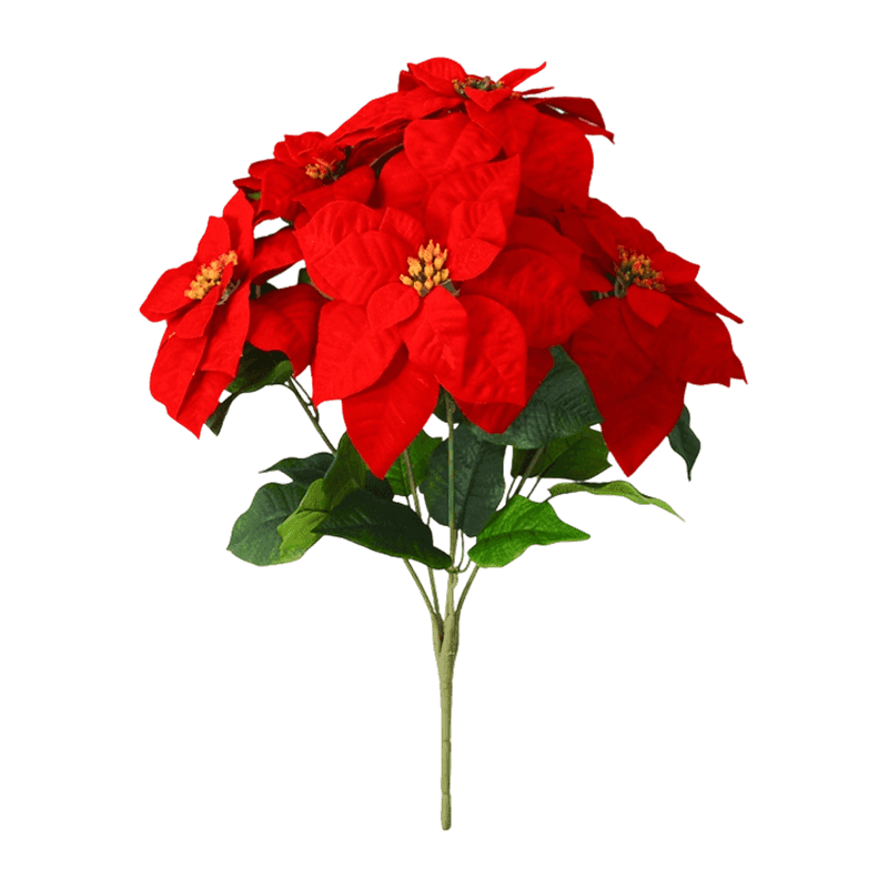 5 Flower Christmas Bouquet