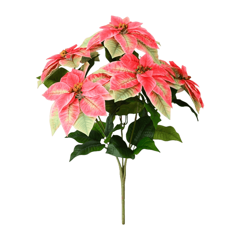 5 Flower Christmas Bouquet