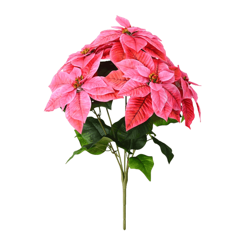 5 Flower Christmas Bouquet