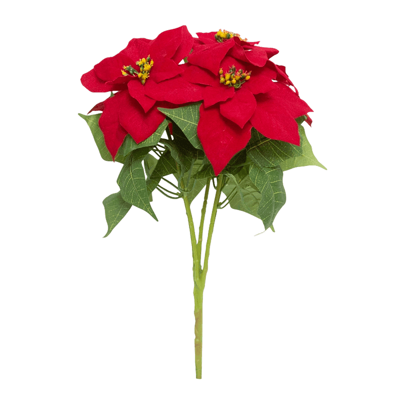 5 Flowers Christmas Bouquet
