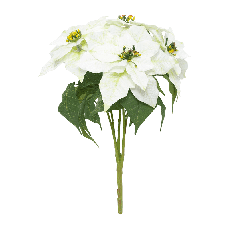 5 Flowers Christmas Bouquet
