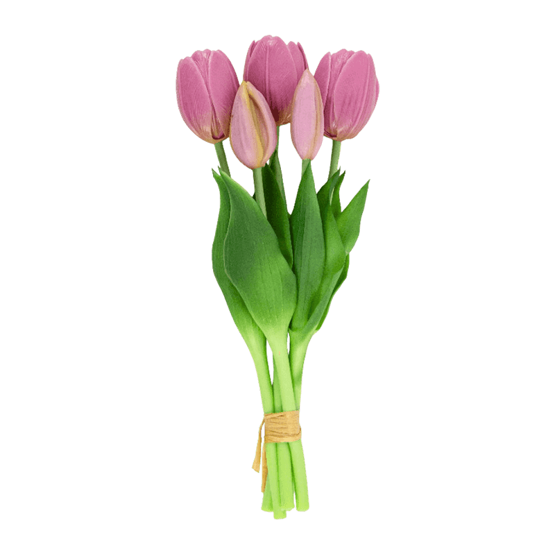 Tulip 3 Flower 2 Buds 25cm
