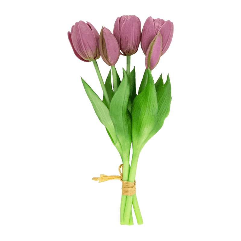 Tulip 3 Flower 2 Buds 25cm