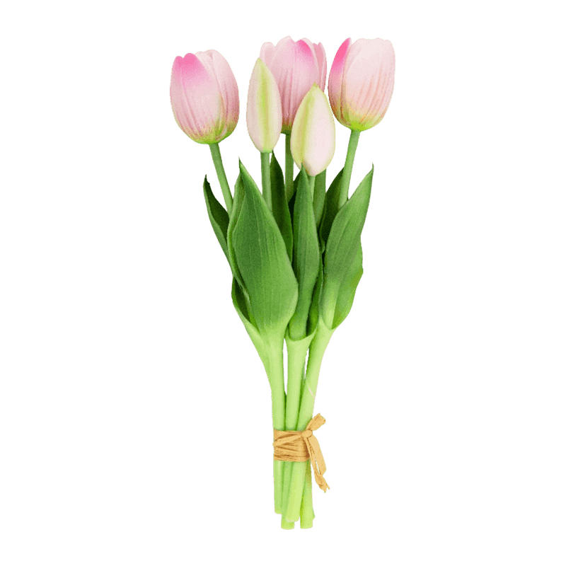Tulip 3 Flower 2 Buds 25cm