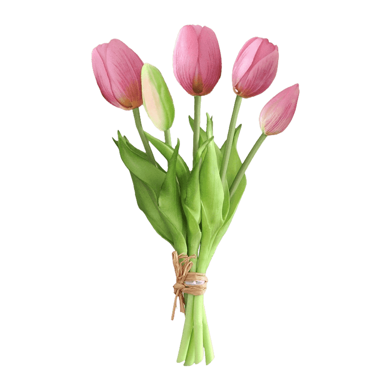 Tulip 3 Flower 2 Buds 25cm