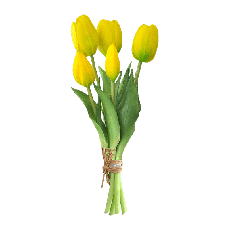 Tulip 3 Flower 2 Buds 25cm
