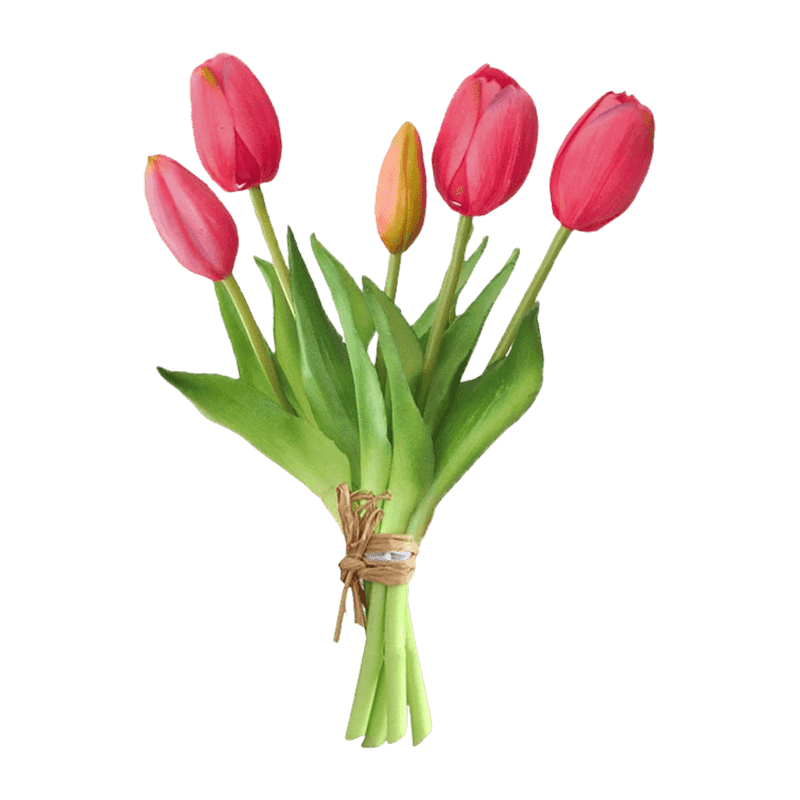Tulip 3 Flower 2 Buds 25cm