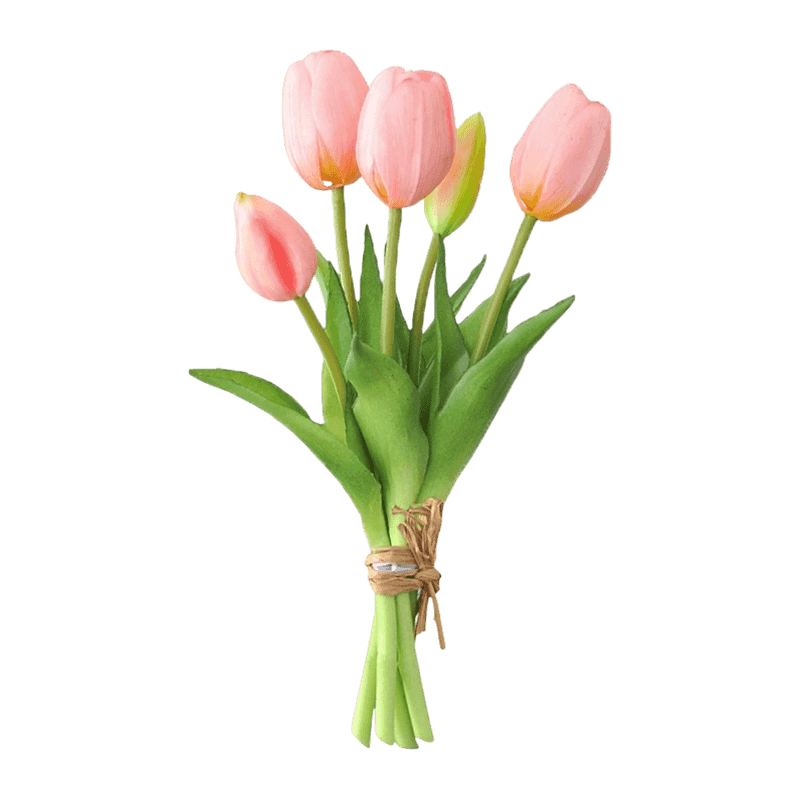 Tulip 3 Flower 2 Buds 25cm