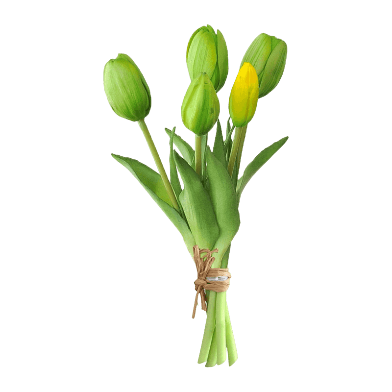Tulip 3 Flower 2 Buds 25cm