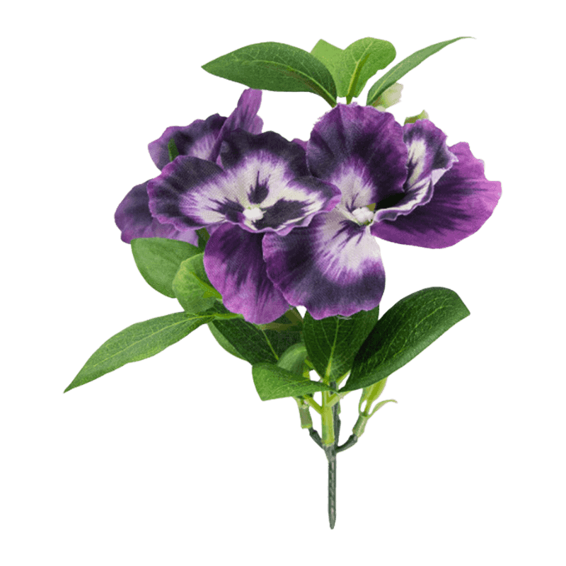Pansy Flower With 3 Flowers