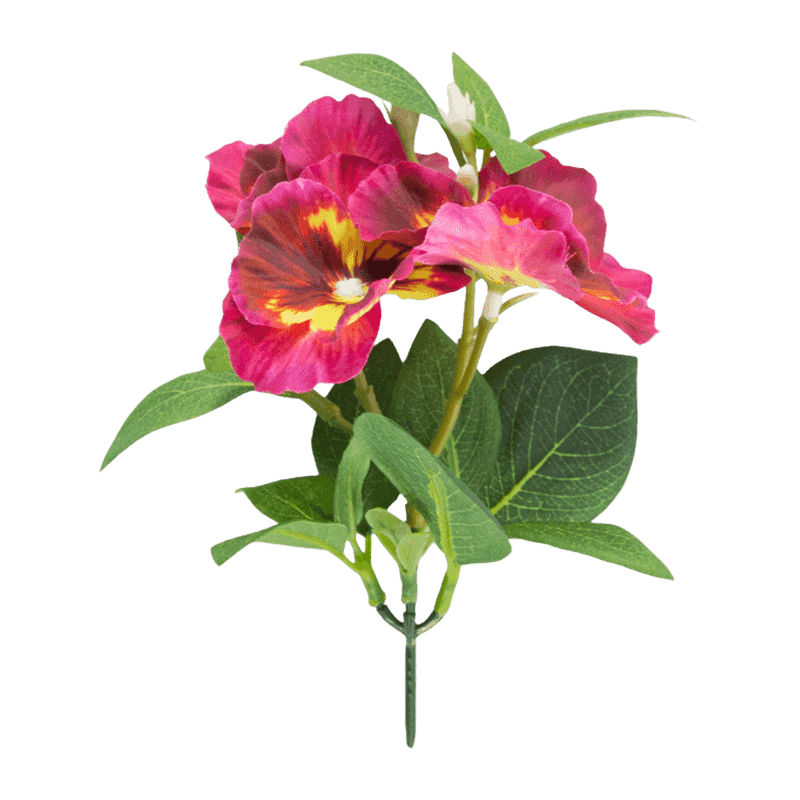 Pansy Flower With 3 Flowers