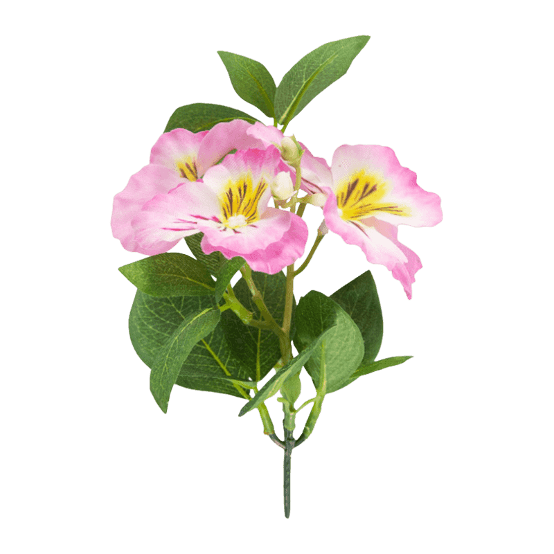Pansy Flower With 3 Flowers