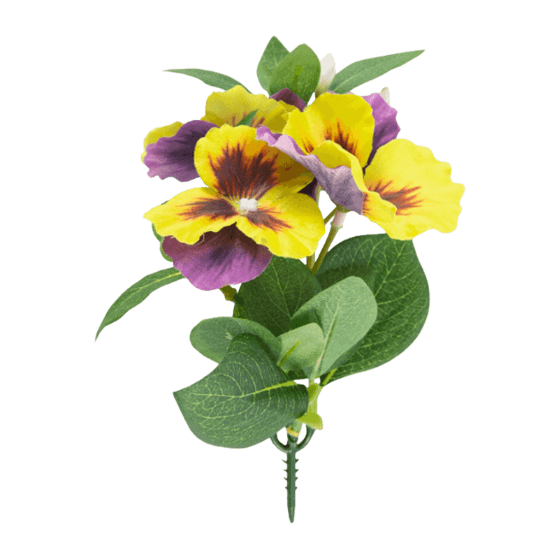 Pansy Flower With 3 Flowers