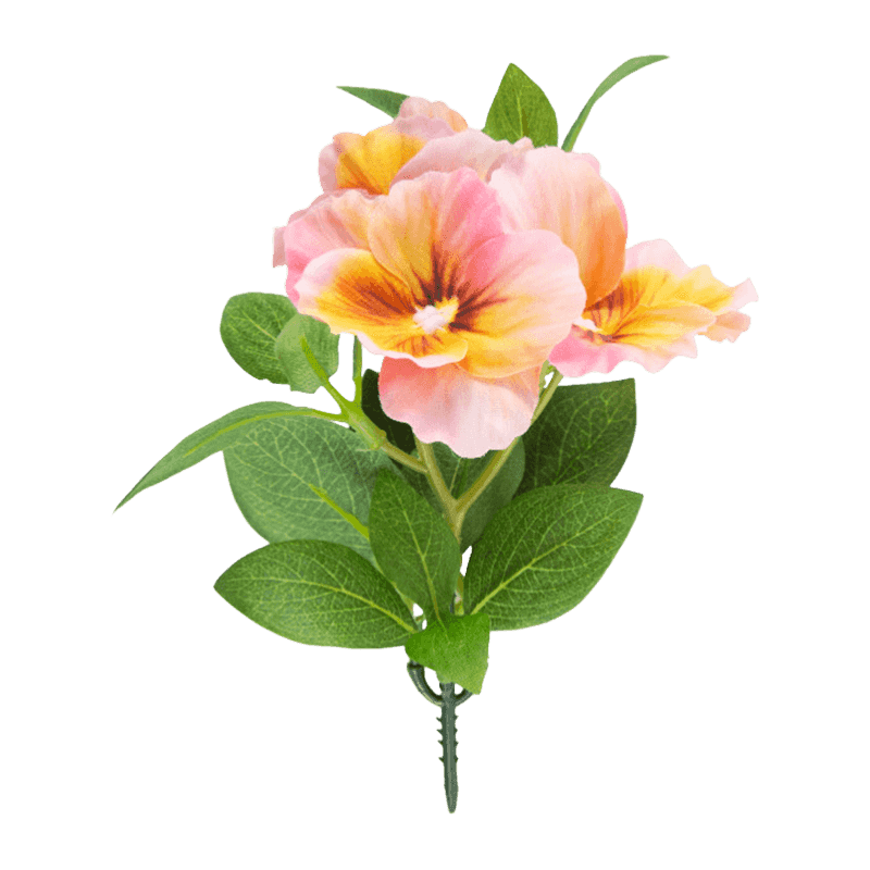 Pansy Flower With 3 Flowers
