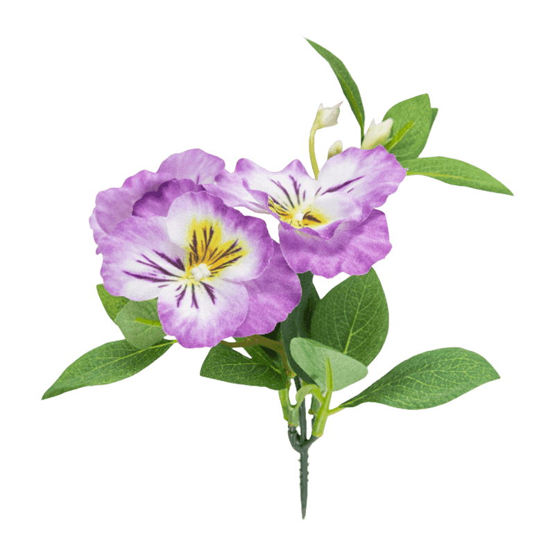 Pansy Flower With 3 Flowers